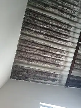 Snapshot of putoso031 chatting on 23, 2, 2025 putoso031 online show from 23, 2, 2025