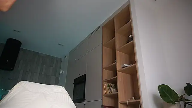 DreamSofia online show from 11, 10, 2025