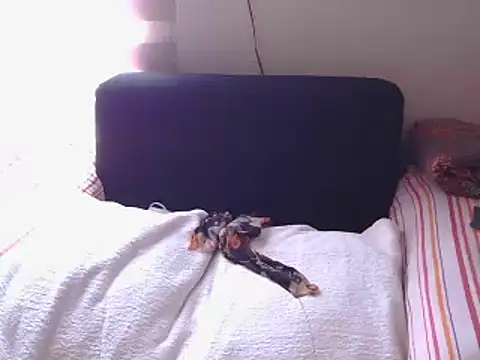 Mollybrookexx online show from 11, 12, 2024