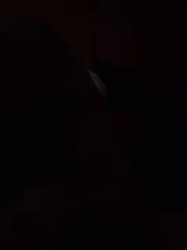 Dikkiduohottt online show from 21, 12, 2024