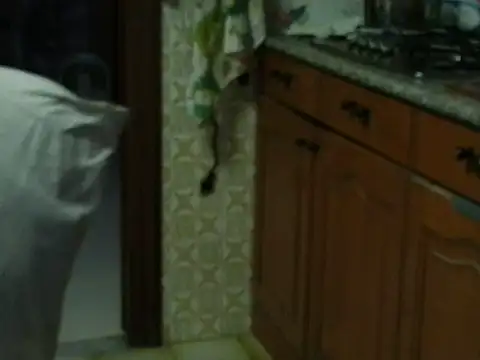 Snapshot of VeneRed chatting on 27, 10, 2025 VeneRed online show from 27, 10, 2025