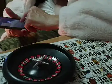 Snapshot of VeneRed chatting on 12, 11, 2025 VeneRed online show from 12, 11, 2025