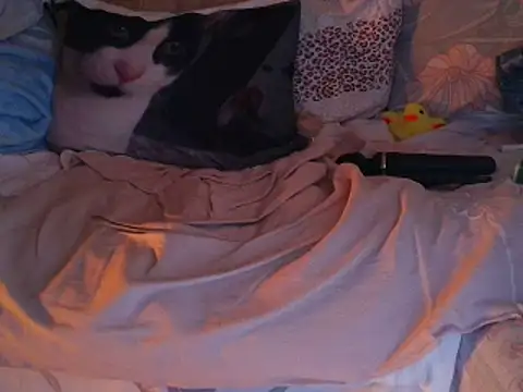 Snapshot of VeneRed chatting on 30, 11, 2025 VeneRed online show from 30, 11, 2025