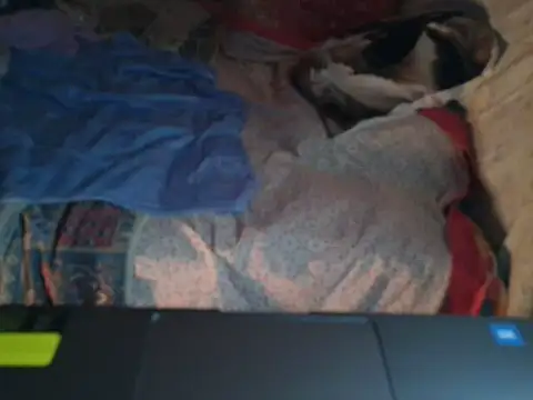 VeneRed online show from 17, 1, 2026