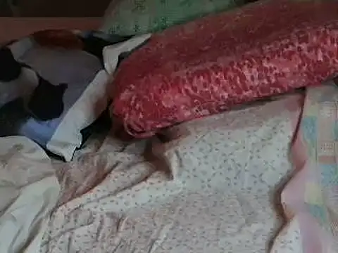 VeneRed online show from 6, 4, 2026