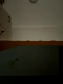 Lecatore80 online show from 9, 11, 2025