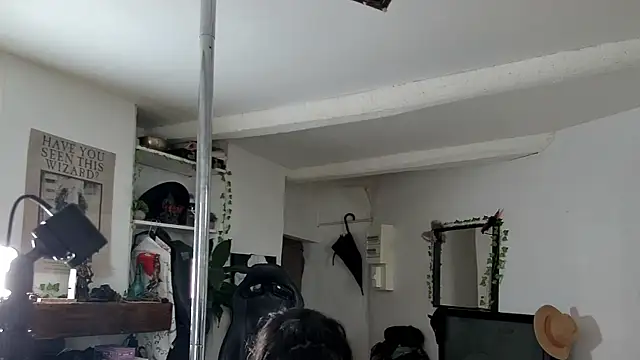 Snapshot of CeriseLapine chatting on 16, 11, 2025 CeriseLapine online show from 16, 11, 2025