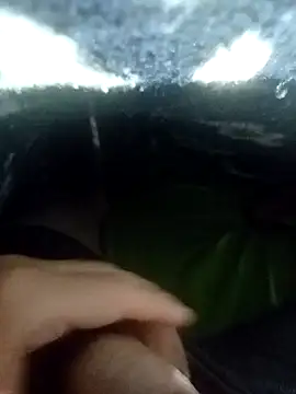 gato- online show from 17, 1, 2025