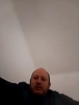 gato- online show from 6, 3, 2026