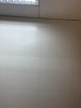 pteno1 online show from 3, 12, 2024