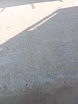 Snapshot of sexsexbo chatting on 15, 1, 2026 sexsexbo online show from 15, 1, 2026