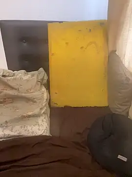 gloria7v05 online show from 5, 3, 2026