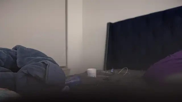 bearcloudcomputa online show from 29, 1, 2025