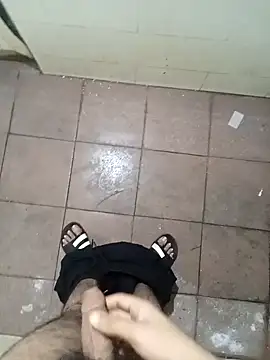 weeif online show from 28, 12, 2024