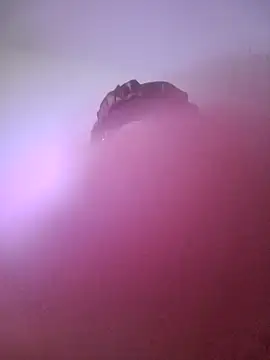 giuliana andrade online show from 22, 1, 2025