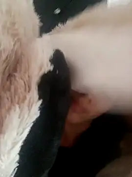 giuliana andrade online show from 19, 2, 2025