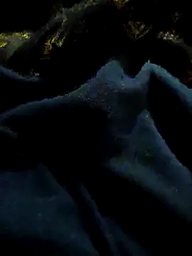 pusssyhub online show from 29, 11, 2025