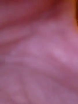 Freddyking146f online show from 30, 11, 2025