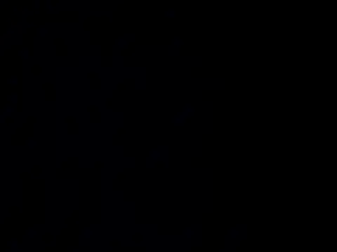 nupa230780 online show from 29, 4, 2026