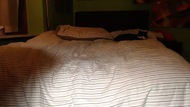 MASTERBULLY online show from 19, 2, 2025