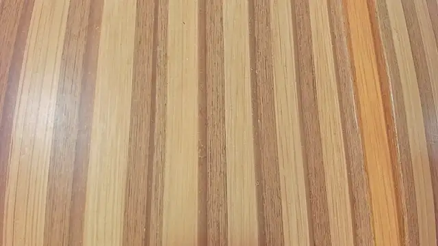 Taylor  cooper online show from 17, 4, 2026