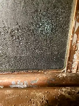 alienbunny online show from 11, 1, 2025