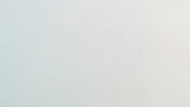 amaranta f00x online show from 22, 11, 2025