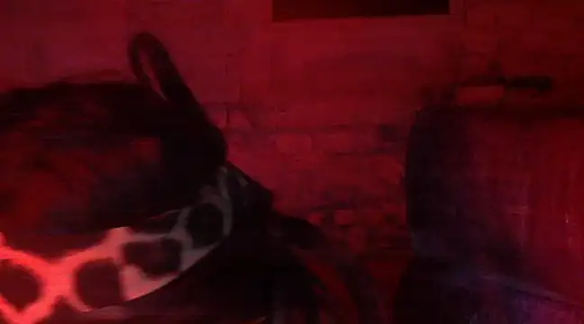 iva spirit online show from 9, 2, 2025