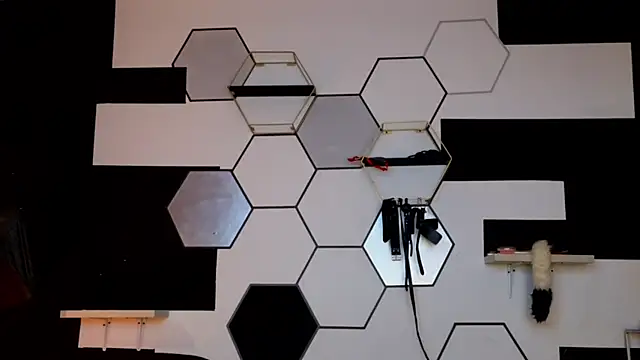 haileycat online show from 14, 2, 2025