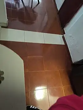 Dyr08 online show from 10, 11, 2025