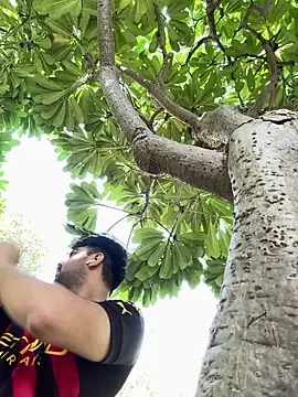 Gaonkadesilonda online show from 12, 10, 2025