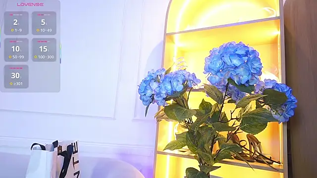 elasummer online show from 28, 11, 2025