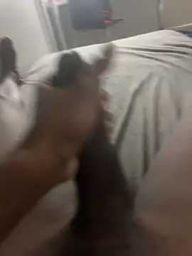 arrete2025 online show from 3, 2, 2025