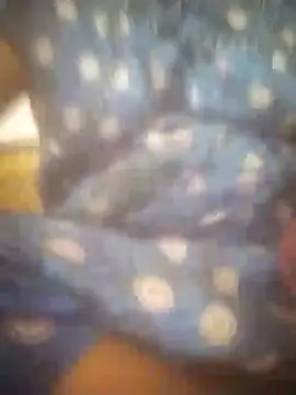 jessi telugu online show from 5, 12, 2024