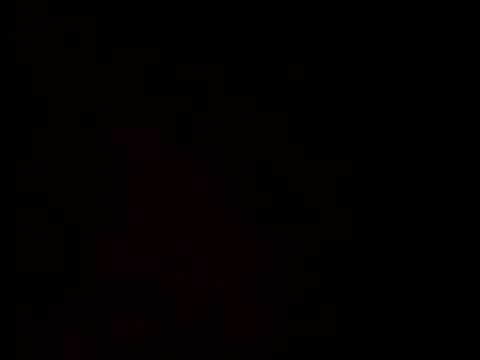 linksjack1010 online show from 24, 2, 2025