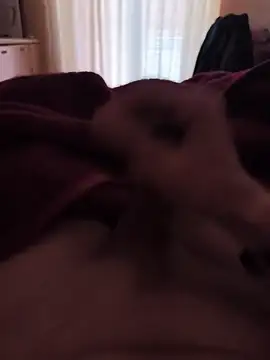 mirrowhot online show from 9, 3, 2026