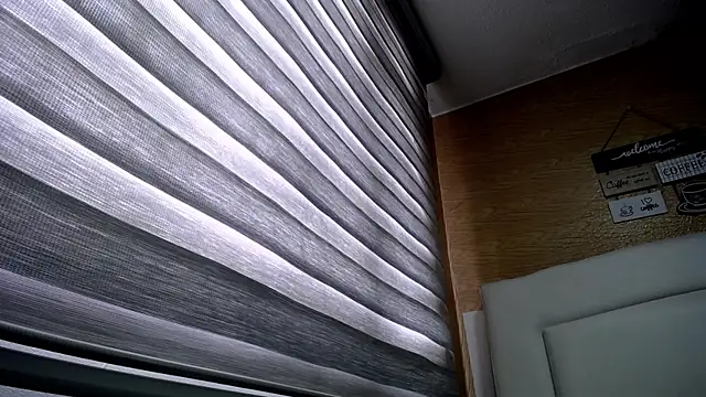 Snapshot of palmer_mIix chatting on 2, 12, 2024 palmer mIix online show from 2, 12, 2024