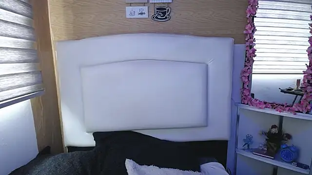 Snapshot of palmer_mIix chatting on 6, 3, 2025 palmer mIix online show from 6, 3, 2025