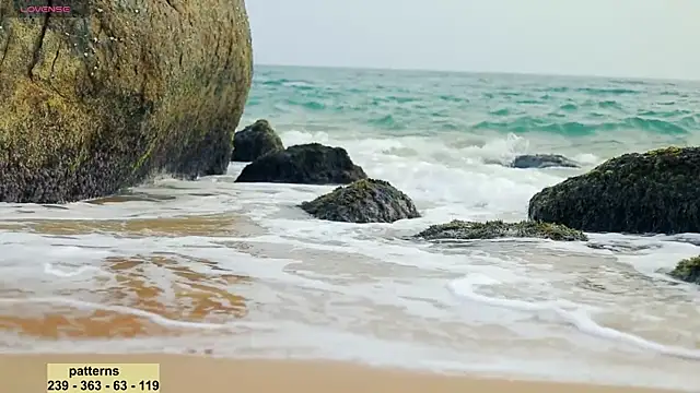 Snapshot of _sex_in_paradise_ chatting on 20, 1, 2025 sex in paradise online show from 20, 1, 2025