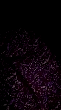 Hot-Anuska online show from 17, 3, 2025