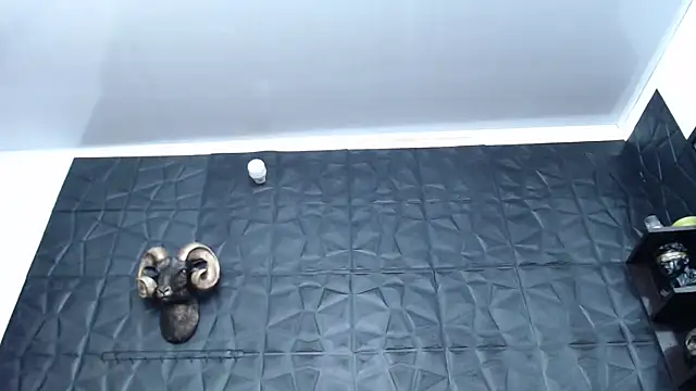 Snapshot of Hanna_Fox_69 chatting on 5, 2, 2025 Hanna Fox 69 online show from 5, 2, 2025