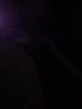 Snapshot of solomec chatting on 6, 3, 2025 solomec online show from 6, 3, 2025