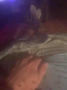 Snapshot of solomec chatting on 13, 10, 2025 solomec online show from 13, 10, 2025