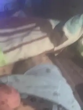 Snapshot of solomec chatting on 19, 11, 2025 solomec online show from 19, 11, 2025