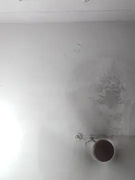 sana14 online show from 21, 9, 2025