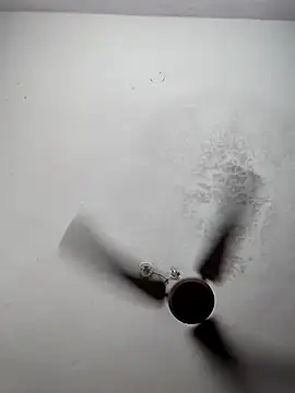 sana14 online show from 9, 3, 2026