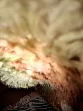 menakshiiikaur online show from 5, 3, 2025