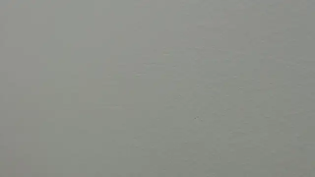 julz 03 online show from 1, 3, 2025