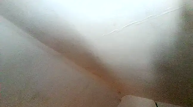 unclestefansdick online show from 10, 12, 2024