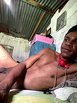 Snapshot of ElNegroRony chatting on 2, 12, 2024 ElNegroRony online show from 2, 12, 2024